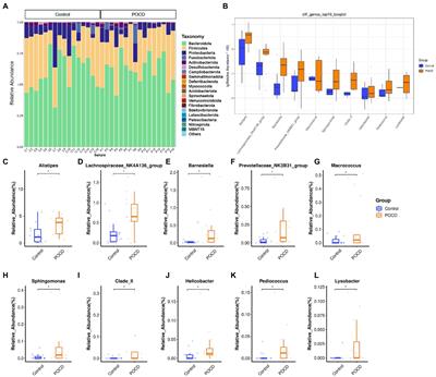 Contribution of preoperative gut microbiota in postoperative neurocognitive dysfunction in elderly patients undergoing orthopedic surgery